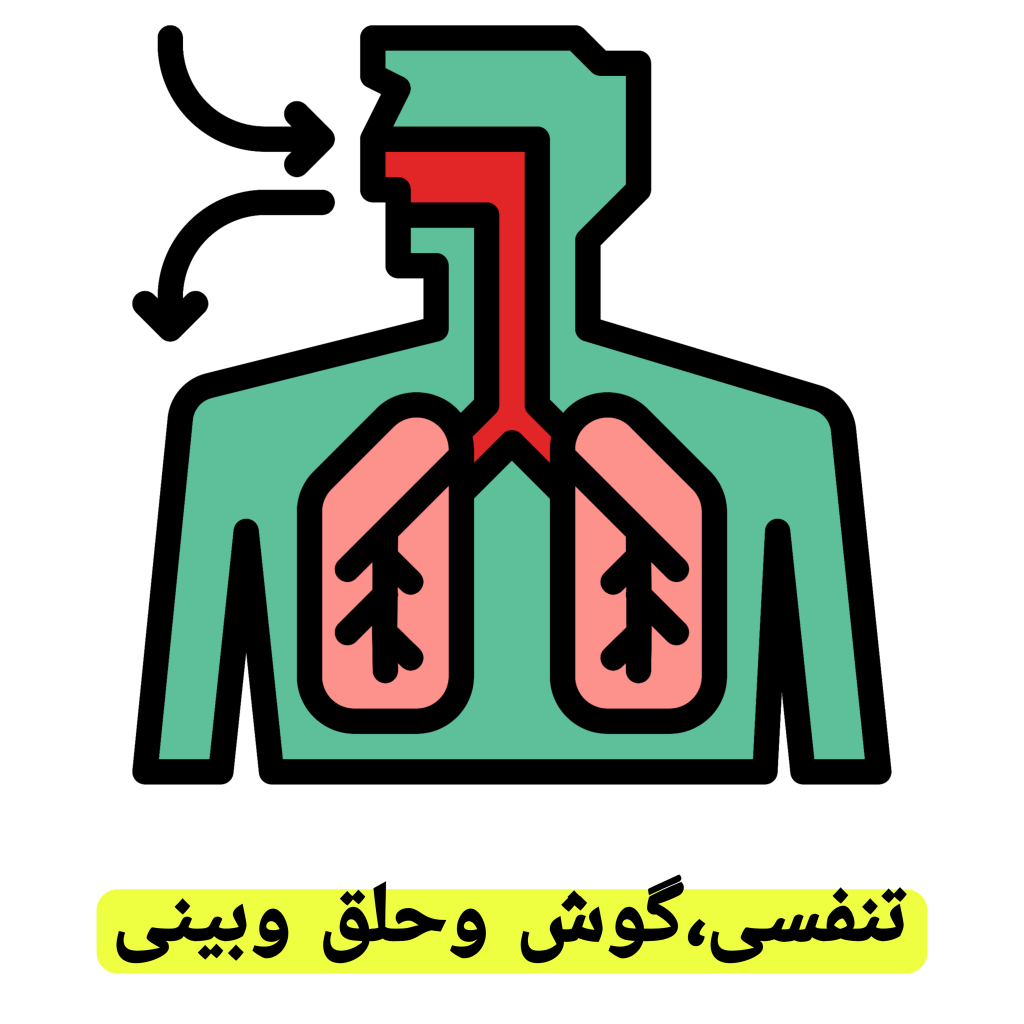 تنفسی گوش و حلق و بینی