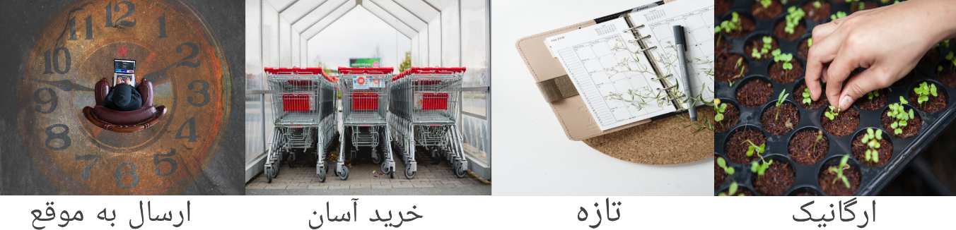 خرید اسان ارگانیک ارسال به موقع