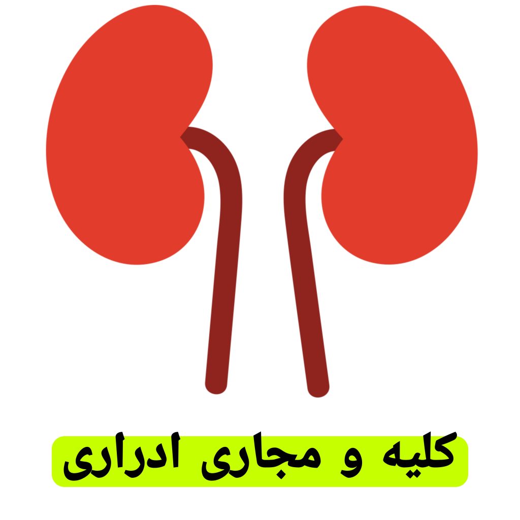 کلیه و مجاری ادراری