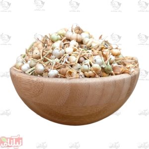 اسپند نخودی خرید اسپند نخودی خواص اسپند نحودی