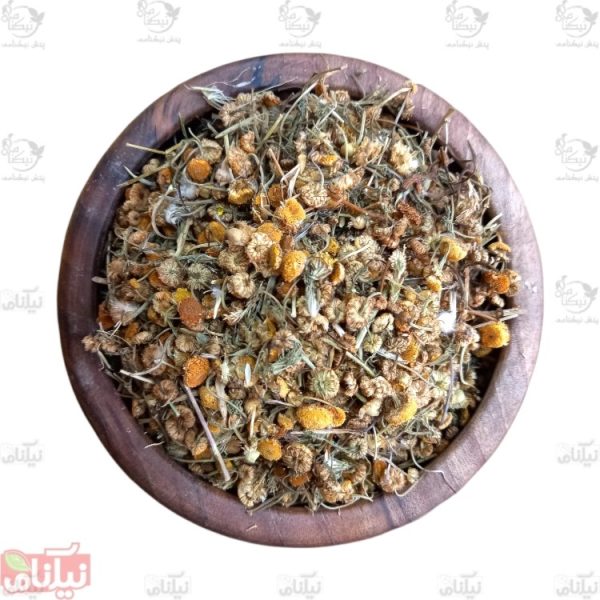 بابونه اردبیلی خرید بابونه اردبیلی خواص بابونه اردبیلی