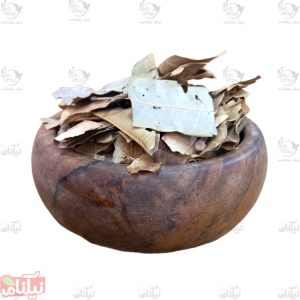 برگ انبه خرید برگ انبه خواص برگ انبه