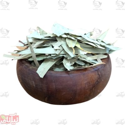 برگ اکالیپتوس خرید برگ اکالیپتوس خواص برگ اکالیپتوس