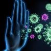 تقویت سیستم ایمنی بدن با گیاهان دارویی