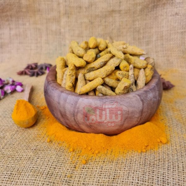 زردچوبه قلم خرید زردچوبه قلم بهترین زردچوبه قلم