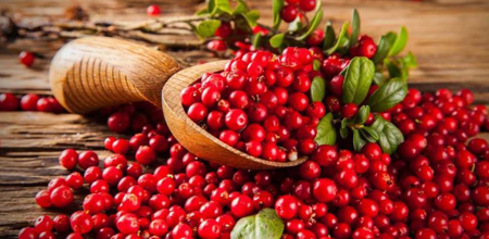 لاغری شکم و پهلو با زغال اخته
