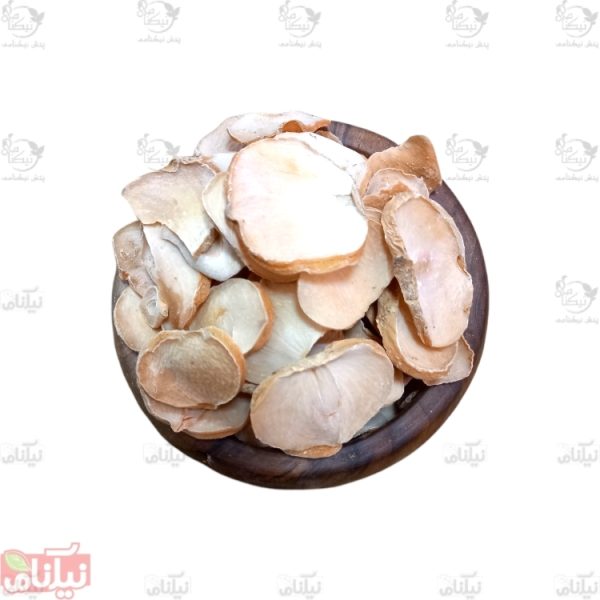 موسیر خرید موسیر خواص موسیر