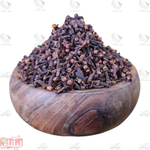 میخک خرید میخک میخک چیست