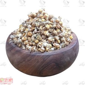 بابونه گاوی خرید بابونه گاوی خواص بابونه گاوی