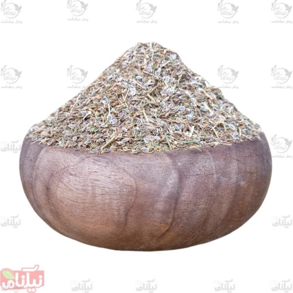 بذر شوید خرید بذر شوید خواص شوید