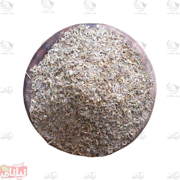 بذر شوید خرید بذر شوید خواص شوید