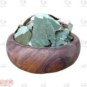 برگ بو خرید برگ بو خواص برگ بو