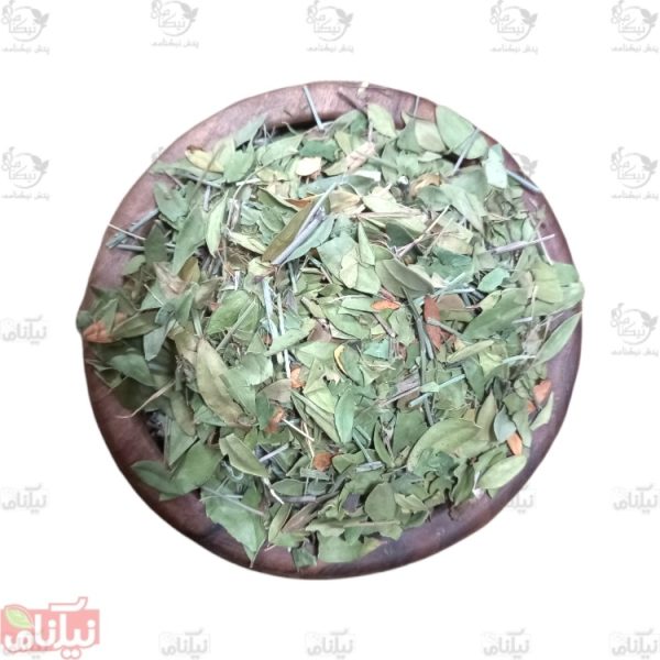 برگ مورد خرید برگ مورد خواص برگ مورد