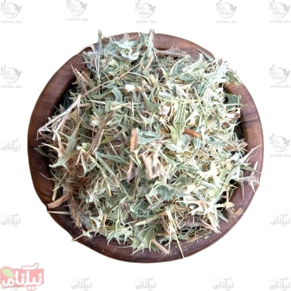 بوقناق خرید بوقناق خواص بوقناق