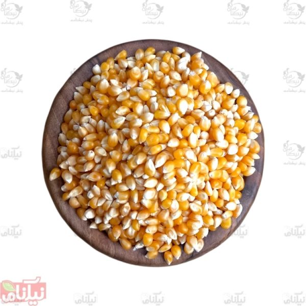 ذرت پاپ کورن خرید ذرت خشک خواص ذرت