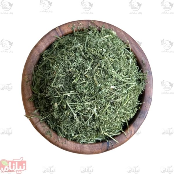 شوید کوهی خرید شوید کوهی خواص شوید کوهی