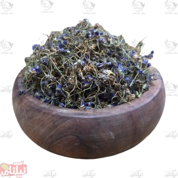 گل بنفشه خرید گل بنفشه خواص گل بنفشه
