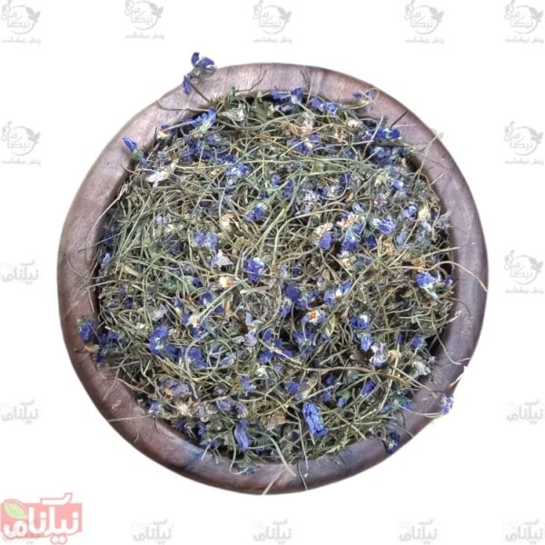 گل بنفشه خرید گل بنفشه خواص گل بنفشه