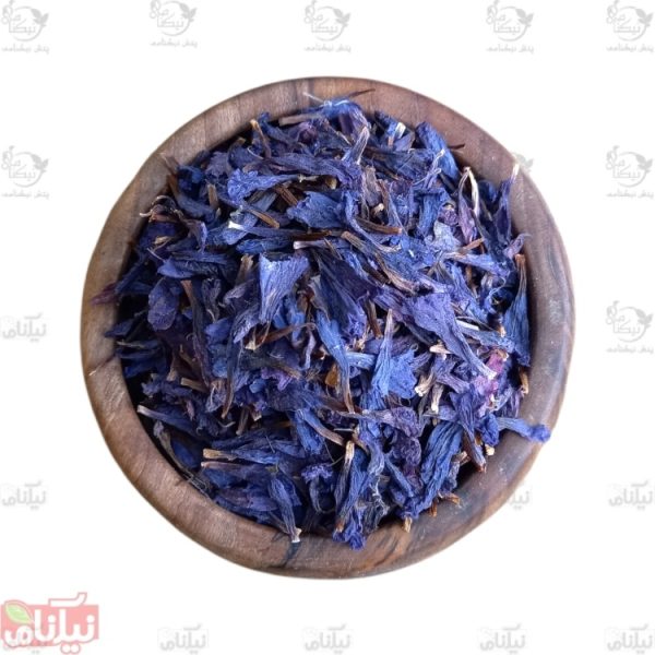 گل گاوزبان خرید گل گاوزبان خواص گل گاوزبان