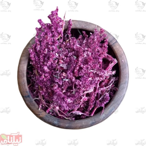 تاج خروس گیاه تاج خروس خرید تاج خروس خواص گیاه تاج خروس
