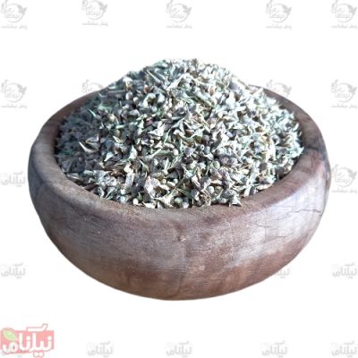 بذر اسفناج