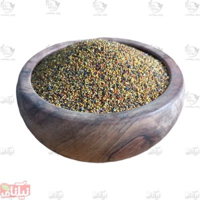 بذر شبدر