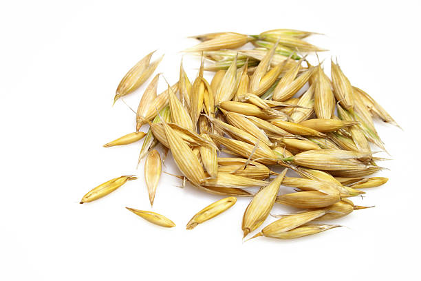 جو دوسر برای کاهش فشار خون