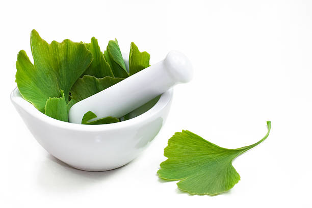 داروی گیاهی برای تقویت موی سر 2 جینکوبیلوبا برای تقویت موی سر