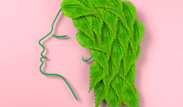 داروی گیاهی برای تقویت موی سر 1 داروی گیاهی برای تقویت موی سر