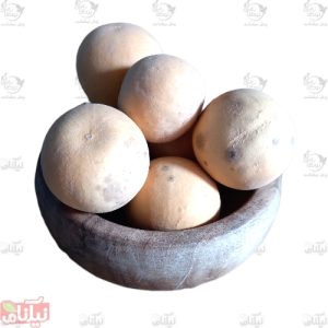 هندوانه ابوجهل قیمت هندوانه ابوجهل خرید هندوانه ابوجهل خواص هندوانه ابوجهل