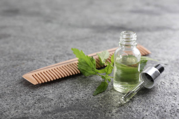 داروی گیاهی برای تقویت موی سر 13 گزنه برای تقویت موی سر