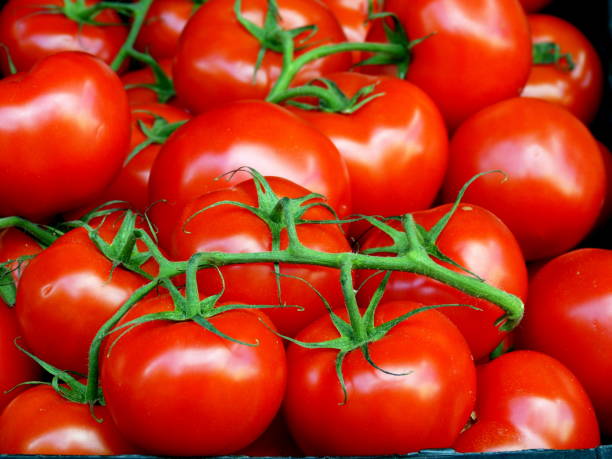 غذاهای مفید برای فشار خون بالا 15 گوجه برای کاهش فشار خون