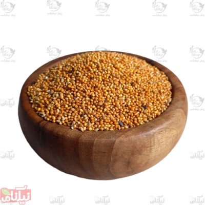 ارزن درشت خرید ارزن درشت قیمت ارزن درشت فواید ارزن