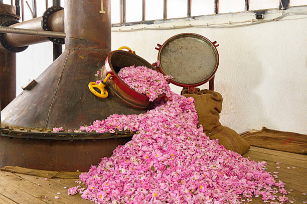خواص گلاب برای سلامتی و زیبایی 9 خاصیت گلاب