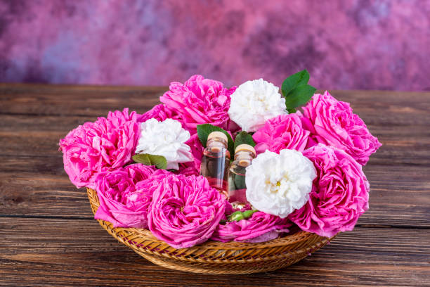 خواص گلاب برای سلامتی و زیبایی 5 خواص آرامش بخشی گلاب