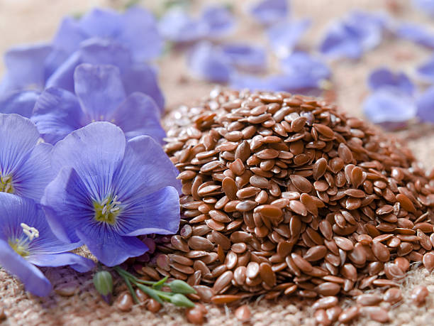 خواص تخم کتان و طریقه مصرف آن 1 خواص بذر کتان