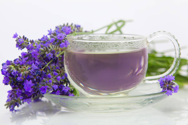 دمنوش اسطوخودوس برای سرماخوردگی