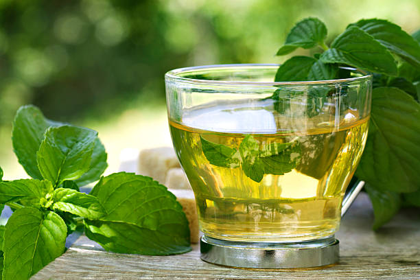 دمنوش نعنا برای سرماخوردگی