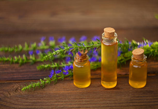 زوفا چیست 5 روغن زوفا