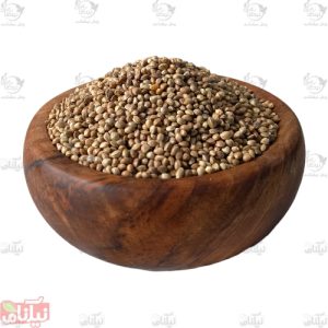شاهدانه