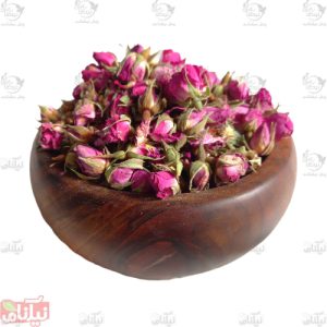 غنچه گل محمدی