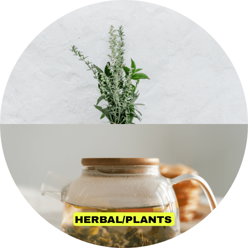 قیمت گیاهان دارویی و دمنوش
