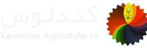 کندلوس