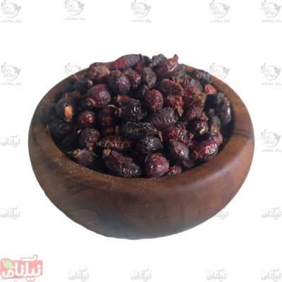 میوه نسترن