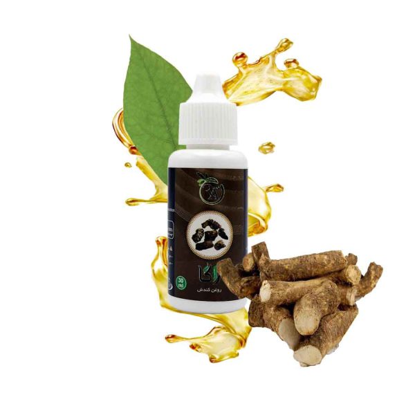 قیمت روغن کندش راگا